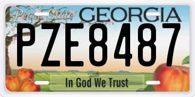GA license plate PZE8487
