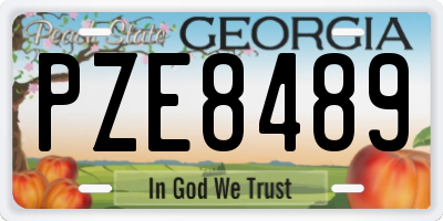GA license plate PZE8489