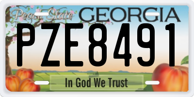 GA license plate PZE8491