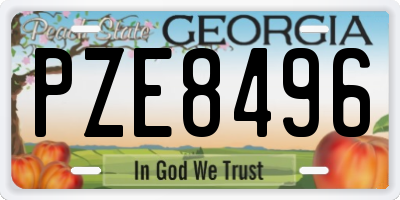 GA license plate PZE8496