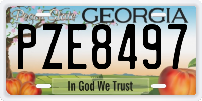 GA license plate PZE8497