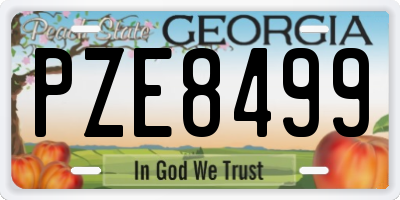 GA license plate PZE8499