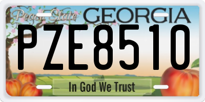 GA license plate PZE8510