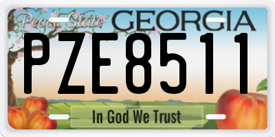 GA license plate PZE8511