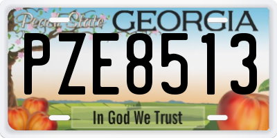 GA license plate PZE8513