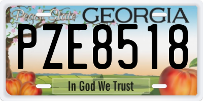 GA license plate PZE8518