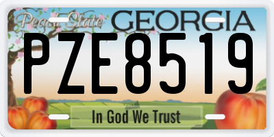 GA license plate PZE8519