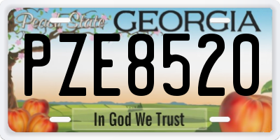 GA license plate PZE8520