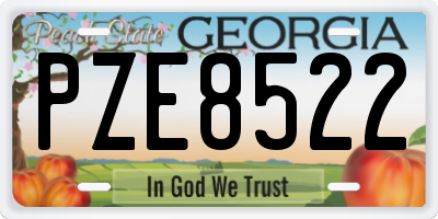 GA license plate PZE8522