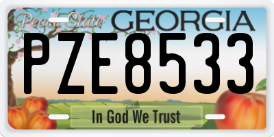 GA license plate PZE8533