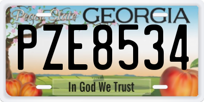 GA license plate PZE8534