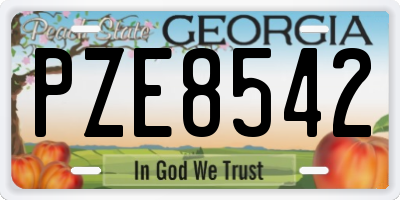 GA license plate PZE8542