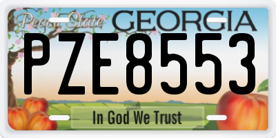 GA license plate PZE8553