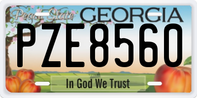 GA license plate PZE8560