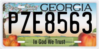 GA license plate PZE8563