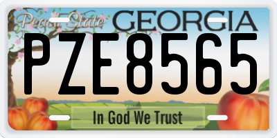 GA license plate PZE8565