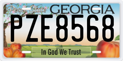 GA license plate PZE8568