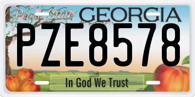 GA license plate PZE8578