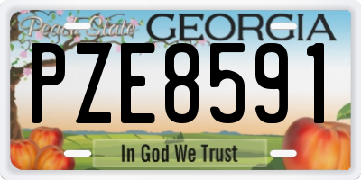 GA license plate PZE8591
