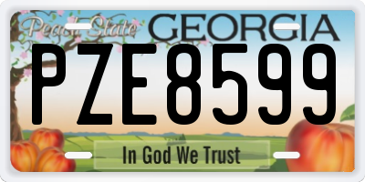 GA license plate PZE8599