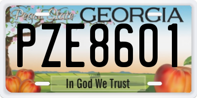 GA license plate PZE8601