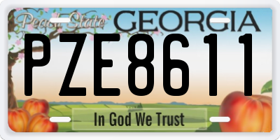 GA license plate PZE8611
