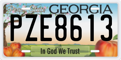 GA license plate PZE8613