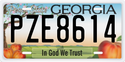GA license plate PZE8614
