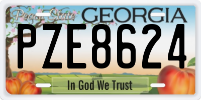GA license plate PZE8624