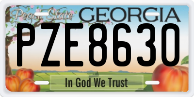 GA license plate PZE8630