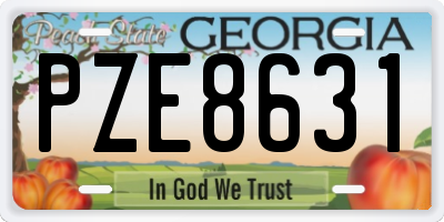 GA license plate PZE8631
