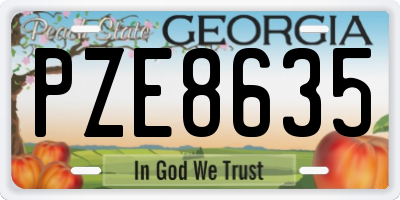 GA license plate PZE8635