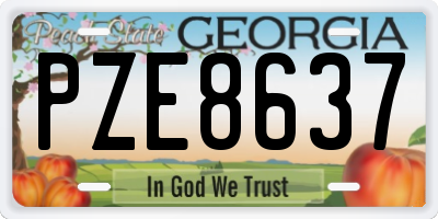 GA license plate PZE8637