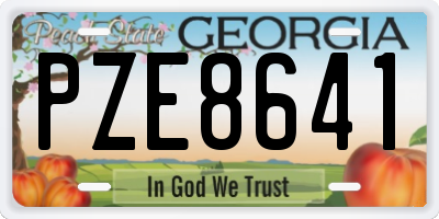 GA license plate PZE8641