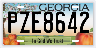 GA license plate PZE8642