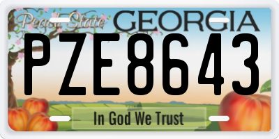 GA license plate PZE8643
