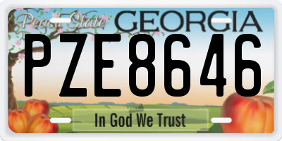 GA license plate PZE8646