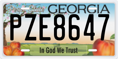 GA license plate PZE8647