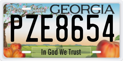 GA license plate PZE8654