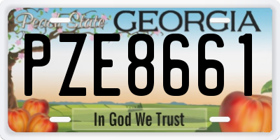GA license plate PZE8661
