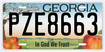 GA license plate PZE8663