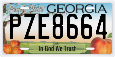 GA license plate PZE8664