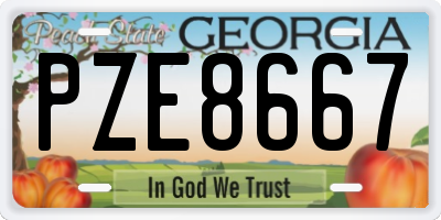 GA license plate PZE8667