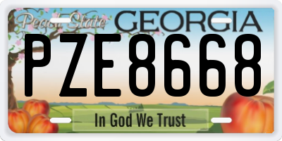 GA license plate PZE8668