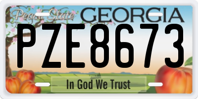 GA license plate PZE8673