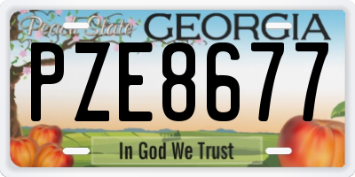 GA license plate PZE8677