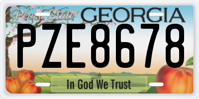 GA license plate PZE8678
