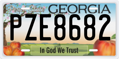 GA license plate PZE8682