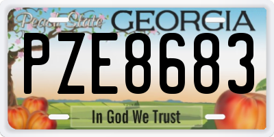 GA license plate PZE8683