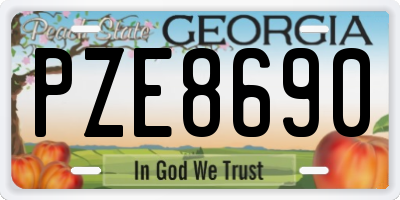 GA license plate PZE8690